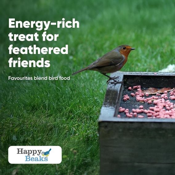 Happy Beaks - High Energy Berry Suet Pellets